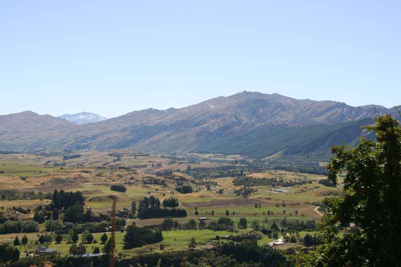 Nieuw-Zeeland 2011 - 1631